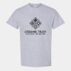 Heavy Cotton™ T-Shirt  Thumbnail